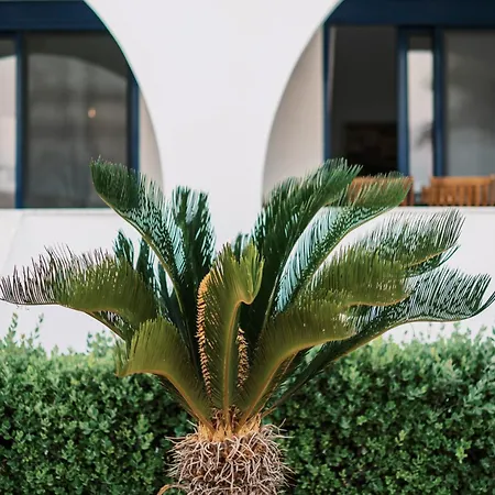 Deep Blue Villa Lakhania